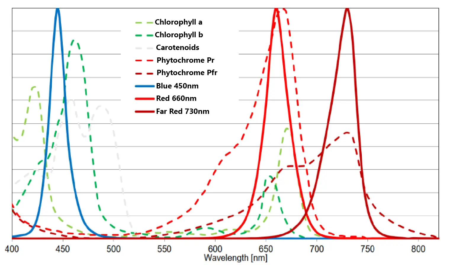 The function of different spectral on plants