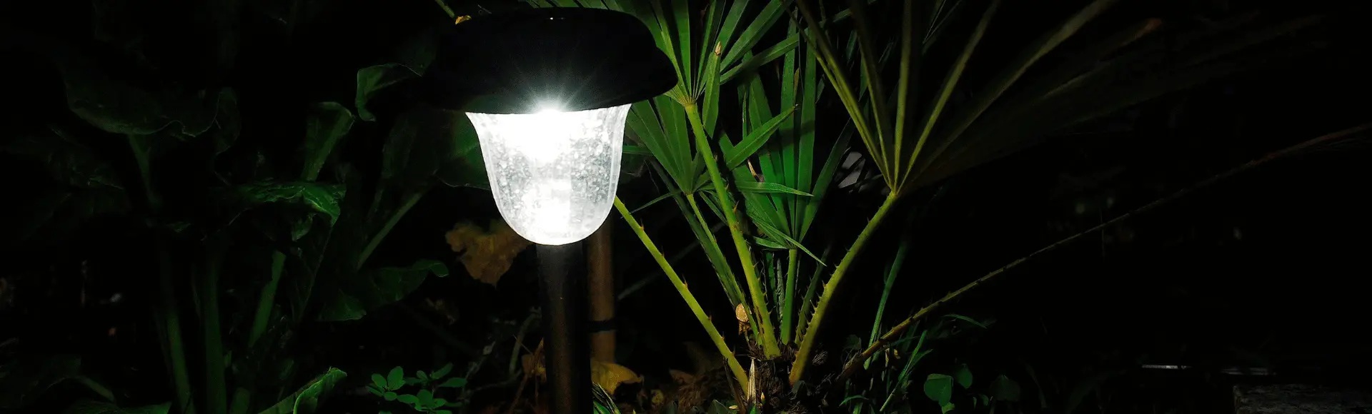 Quality Solar Garden Light 