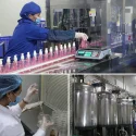 Private Label Shampoo Supplier - Zhongshan S. Jane Biotechnology Co. Ltd.