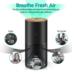 Why do you need a car air purifier