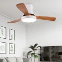 What Are The Characteristics Of Ceiling Fan Lights? How To Buy Ceiling Fan Lights?