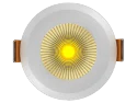 LED Downlight
