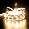 2835 Light strip 1 (5)