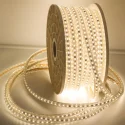 Stip Light OL-8MM-120D-220V