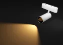 Spot light (1)