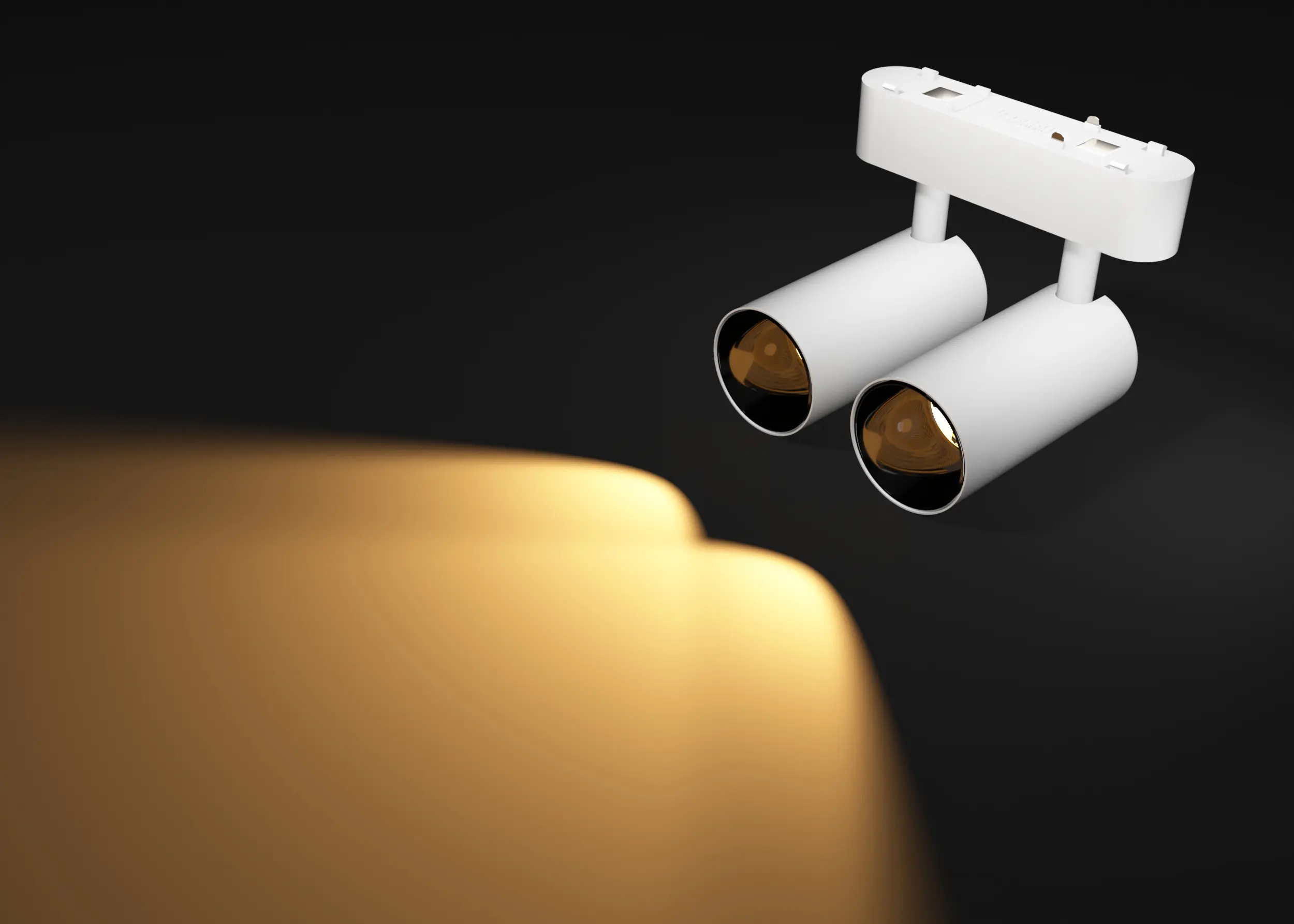 Spot light (2)