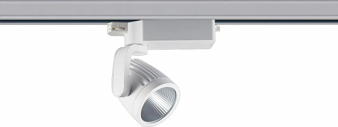 track light (1)