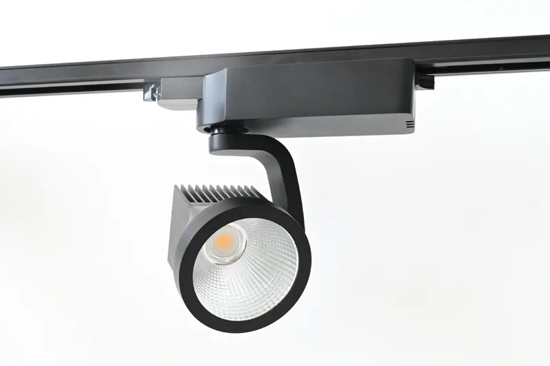 track light (24)