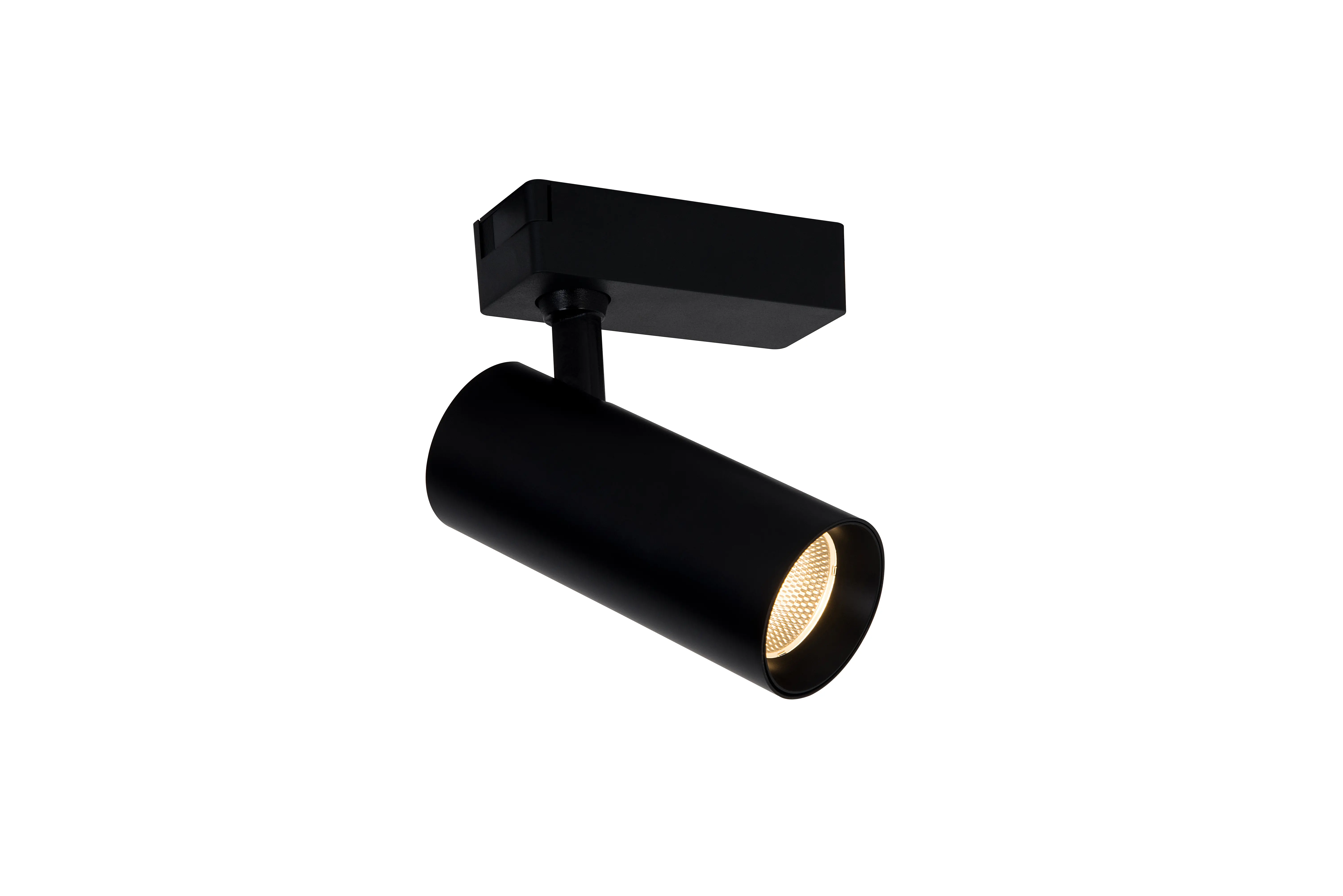  Track Light (6)