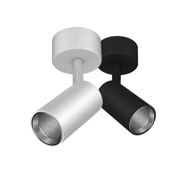  Track Light (8)