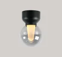 BYE-1120 φ100 glass bulb ceiling light surface mounted 7.2W high-grade decorative light