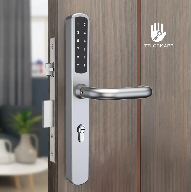 Smart lock-U018-1