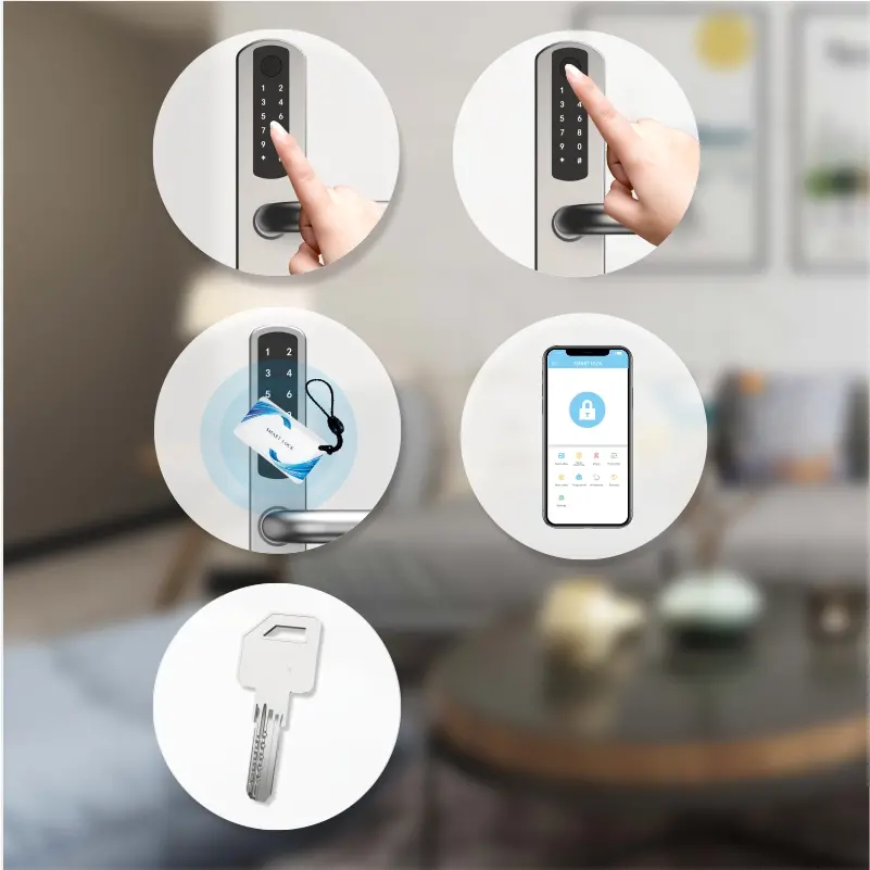 smart lock-U021-2