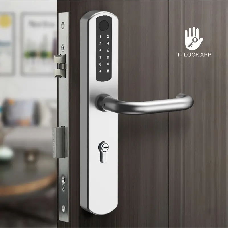 smart lock-U021-1