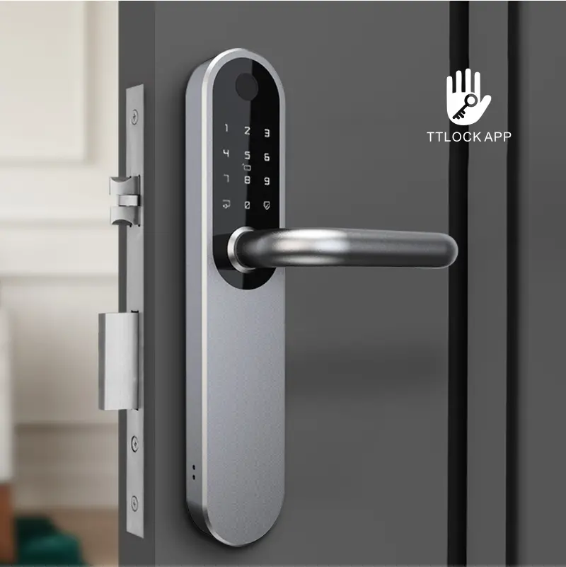 smart lock-U027-1