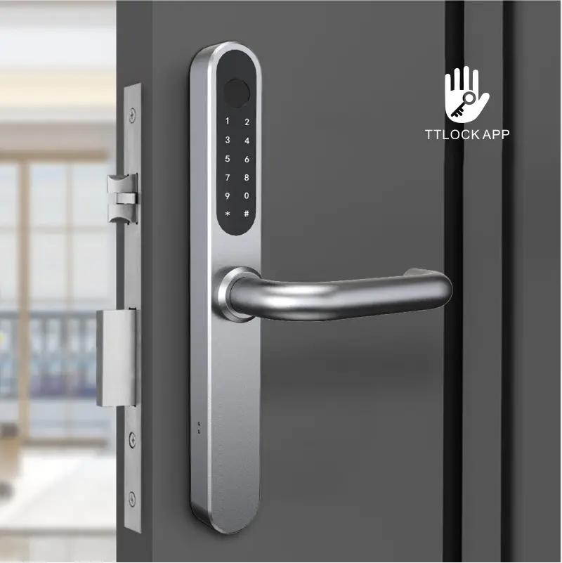 smart lock-U049-1