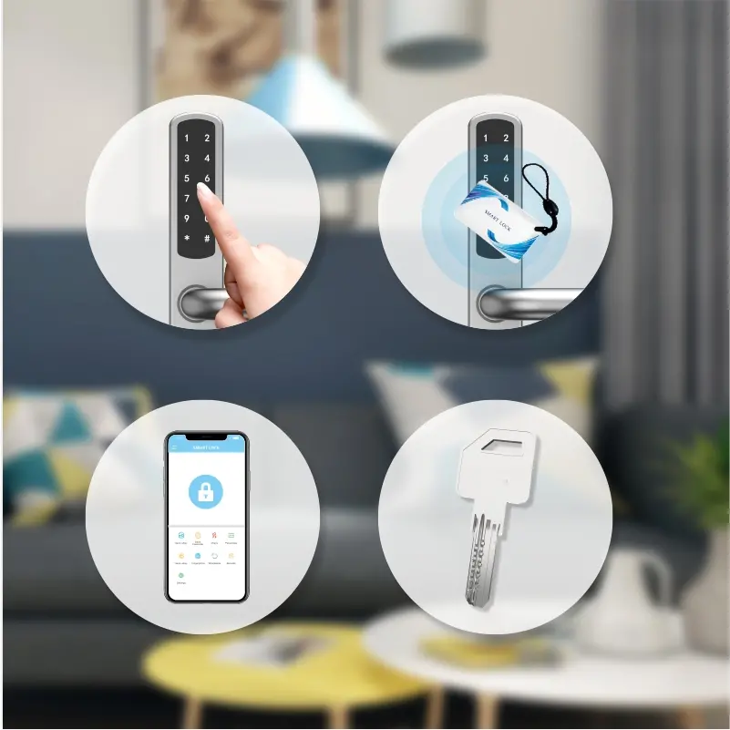 smart lock-U017-2