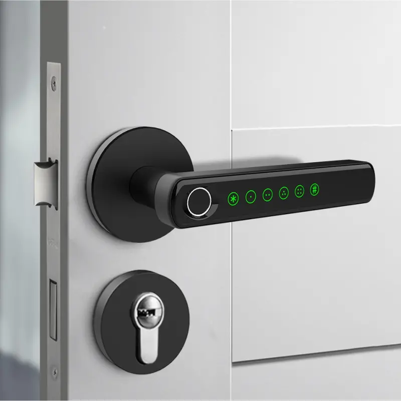 smart lock-U011-1