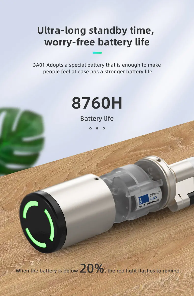 euro cylinder smart lock