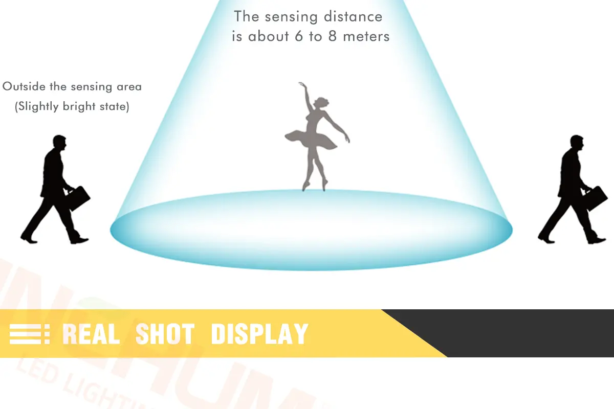 SC-TYD Solar garden light_13