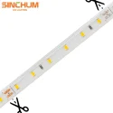 SSL001 Solar Strip light 4