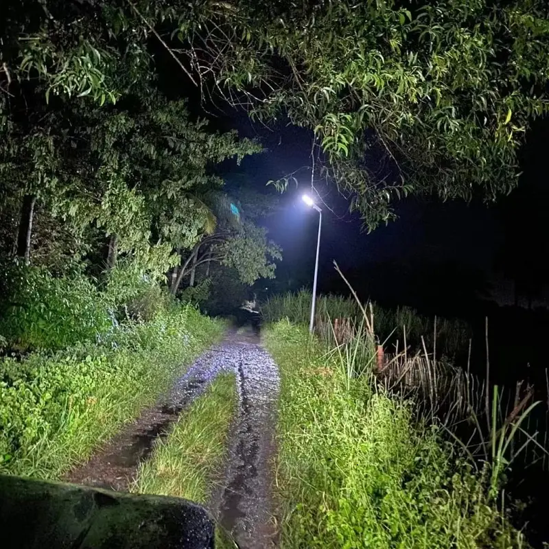 all in one led solar street light