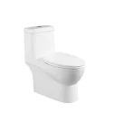 Siphonic One-piece Toilet S-trap 305mm Roughing In CKB-2137