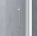 Pivot Shower Door BS42-1
