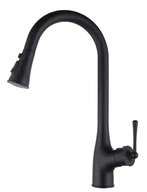 retractable kitchen faucet